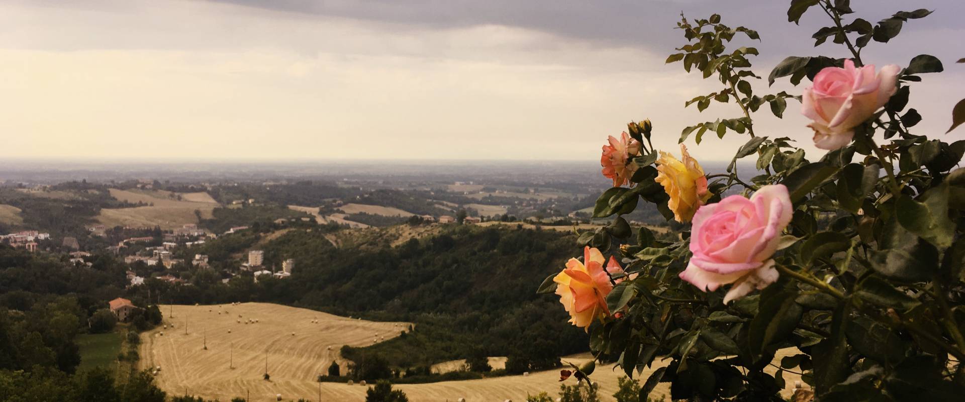 Il roseto sulle terrazze panoramiche foto di Castello di Tabiano